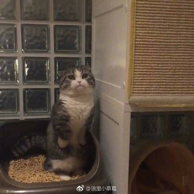 李教员的照片_福州家教通