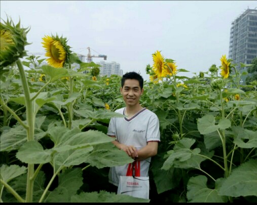 刘教员的照片_福州家教通