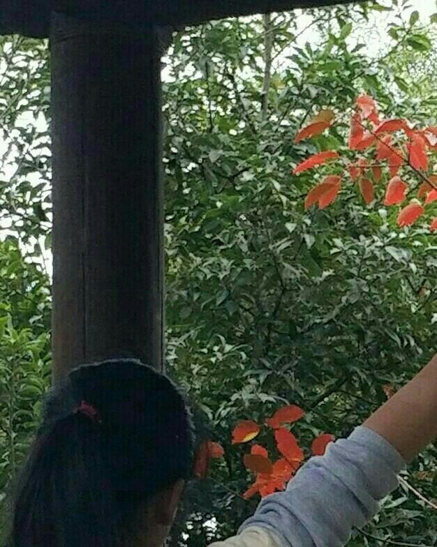 曾教员的照片_福州家教通