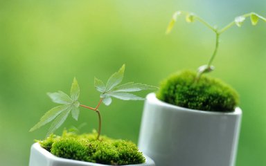 琳教员的照片_福州家教通