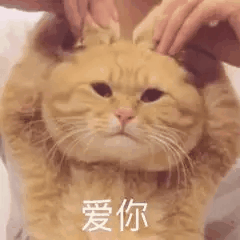 郑教员的照片_福州家教通